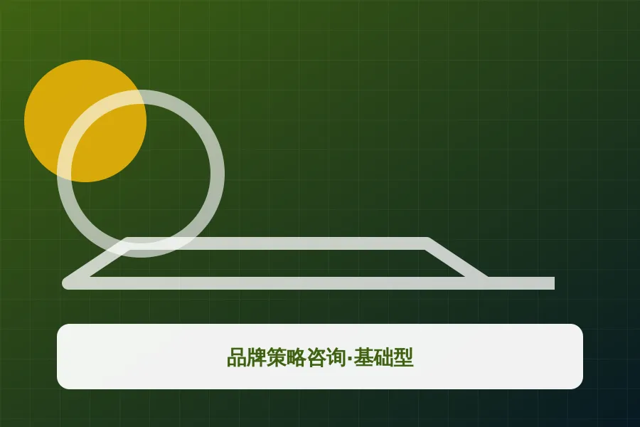 品牌策略咨询·基础型