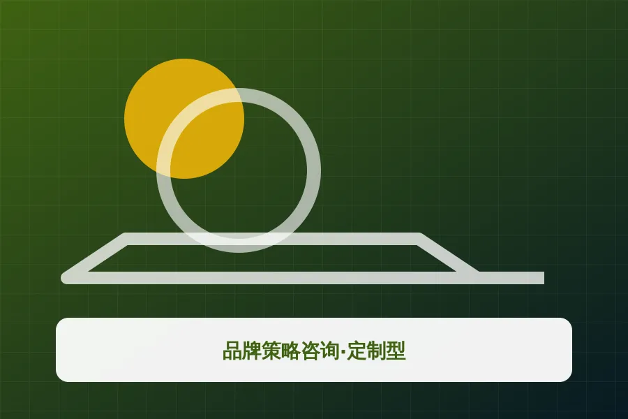 品牌策略咨询·定制型