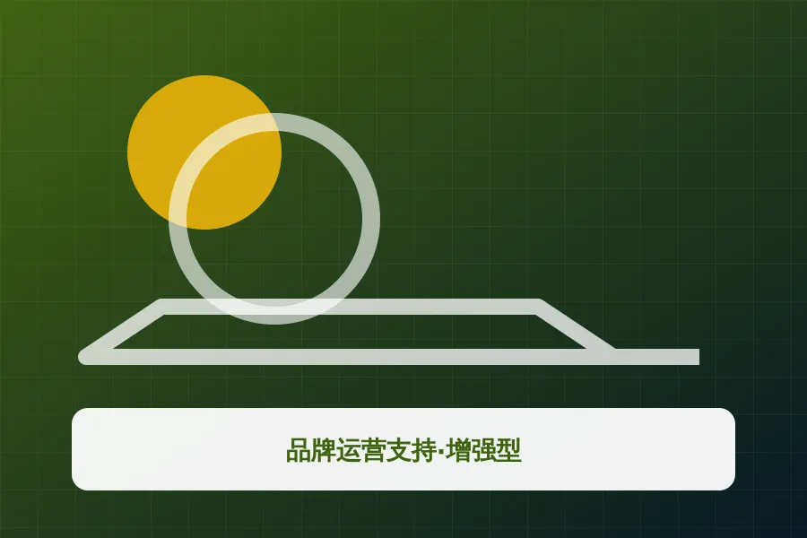 品牌运营支持·增强型应用示意图